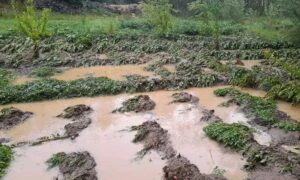 سیلاب درغزنی تلفات جانی و خسارات مالی بر جای گذاشت