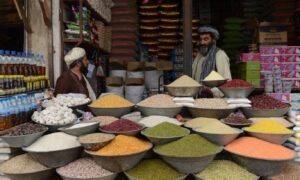 بیکاری و قیمتی؛ اکثر مردم توان خرید مواد خوراکی را ندارند