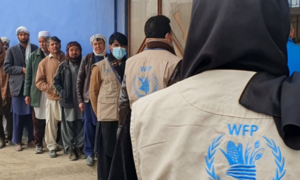 کمک نقدی سازمان جهانی غذا به بیش از «سه میلیون» نفر در افغانستان