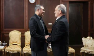 مذاکرات امریکا و ایران؛ وزیر داخله پاکستان به ایران سفر میکند مذاکرات امریکا و ایران؛ وزیر داخله پاکستان به ایران سفر میکند