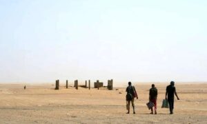 فاجعه در دل صحرای نیجر؛ ۴۹ مسافر در کام تشنگی و گرمای مرگبار جان باختند فاجعه در دل صحرای نیجر؛ ۴۹ مسافر در کام تشنگی و گرمای مرگبار جان باختند