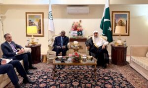 سازمان همکاری اسلامی و سازمان همبستگی جهان اسلام بر حمایت از افغانستان تأکید کردند سازمان همکاری اسلامی و سازمان همبستگی جهان اسلام بر حمایت از افغانستان تأکید کردند