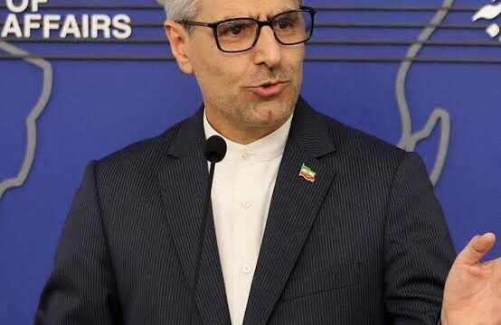 بقائی: تهدید به تخریب نیروگاهها و پلها مصداق جنایت جنگی است بقائی: تهدید به تخریب نیروگاهها و پلها مصداق جنایت جنگی است