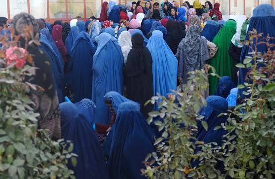 سازمان ملل از تعطیلی نهادهای زنان به دلیل کاهش بودجه هشدار داد