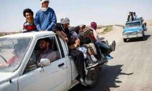 تراژدی در دشت مرگ؛ ۱۹ مهاجر افغان ناپدید شدند، اجساد ۵ نفر پیدا شد تراژدی در دشت مرگ؛ ۱۹ مهاجر افغان ناپدید شدند، اجساد ۵ نفر پیدا شد