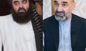 نور به متقی: شماها تربیت‌یافتگان اکوره ختک، حقانیه و کویته هستید