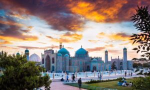 طالبان ۶۷۰ جریب زمین در بلخ را «امارتی» اعلام کردند