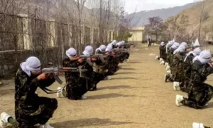طالبان از جذب ۵۴۷ نیروی تازه در هفت ولایت خبر دادند
