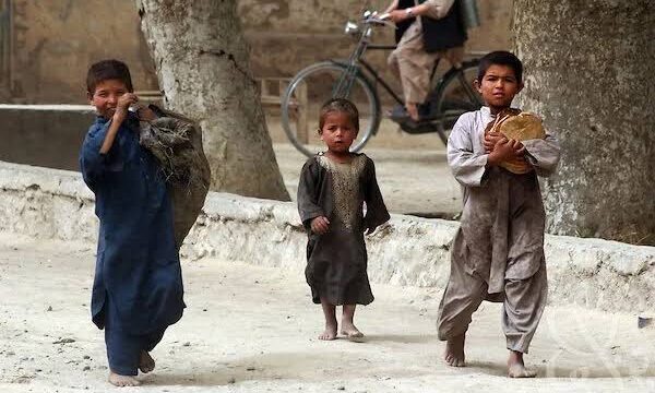 ملل متحد: گرسنگی سلامت و معیشت مردم افغانستان را تهدید می‌کند
