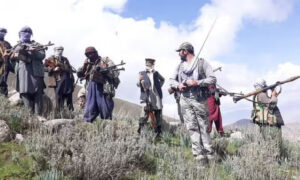 جبهه آزادی از کشته و زخمی شدن پنج عضو طالبان در کاپیسا خبر داد