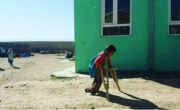 ۳۶ مورد فلج کودکان در افغانستان ثبت شده است ۳۶ مورد فلج کودکان در افغانستان ثبت شده است