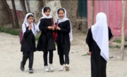سازمان همکاری اسلامی: درباره آموزش دختران با طالبان گفتگو می‌کنیم